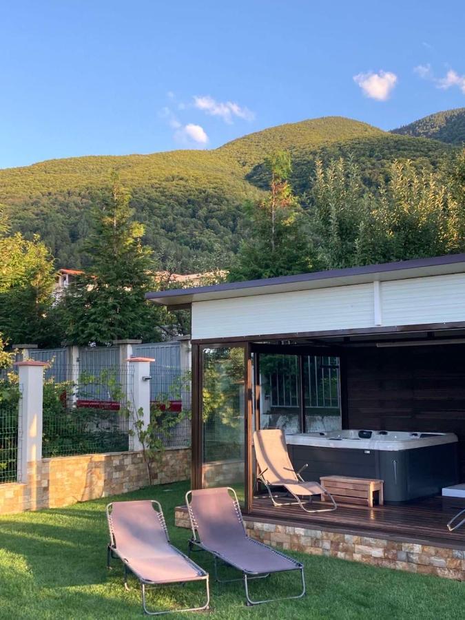 Villa Detelina Szapareva Banja Kültér fotó